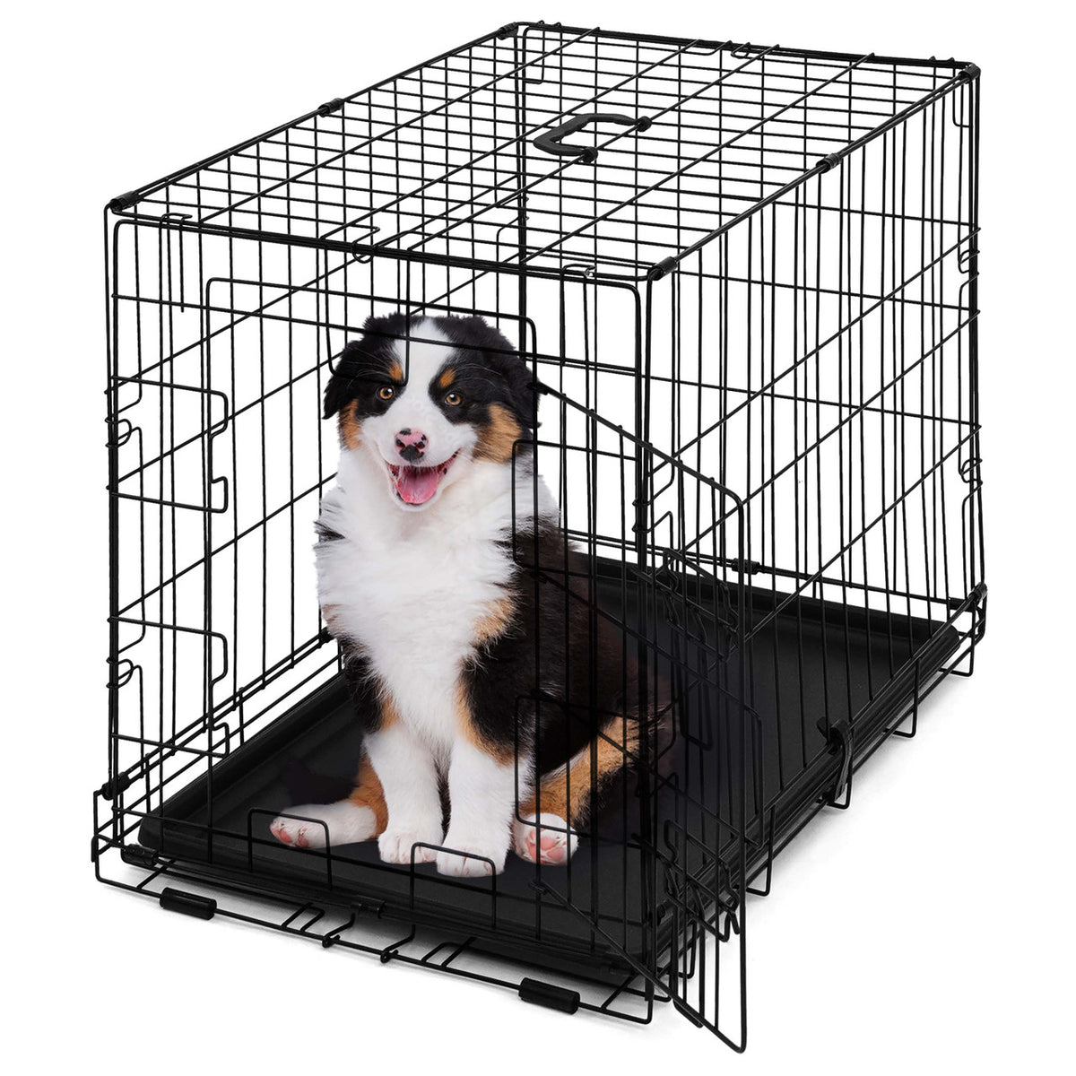 24 in. Foldable Dog Crate Wire Metal Dog Kennel w/ Divider Panel, Leak-Proof Pan & Protecting Feet