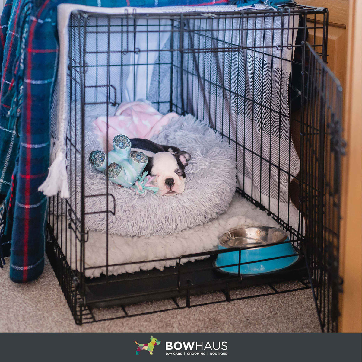 24 in. Foldable Dog Crate Wire Metal Dog Kennel w/ Divider Panel, Leak-Proof Pan & Protecting Feet