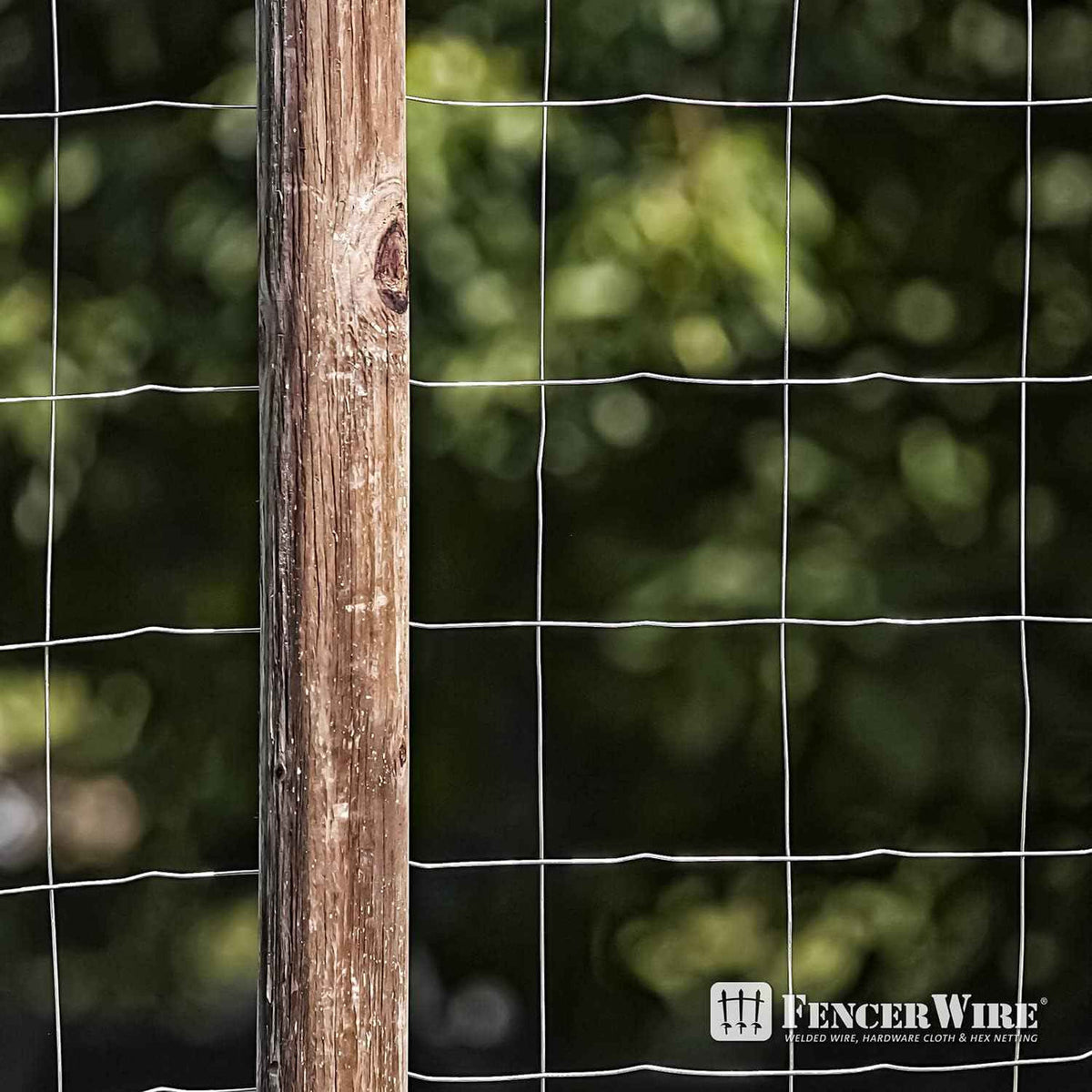 Fencer Wire 16 Gauge Galvanized Welded Wire Mesh Size 4 inch by 4 inch, Multiple Size Options
