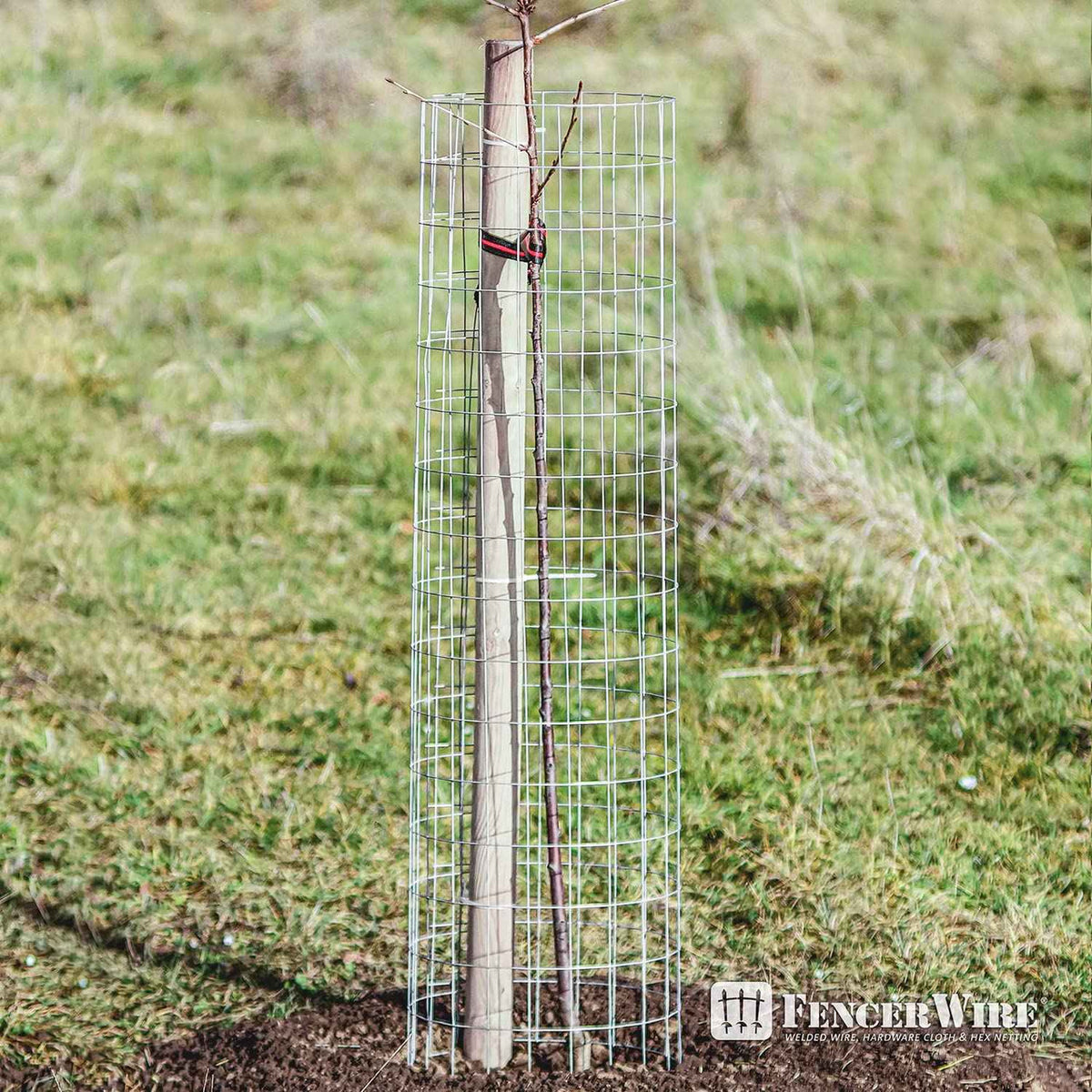 Fencer Wire 16 Gauge Galvanized Welded Wire Mesh Size 2 inch by 4 inch (2 ft. x 100 ft.)