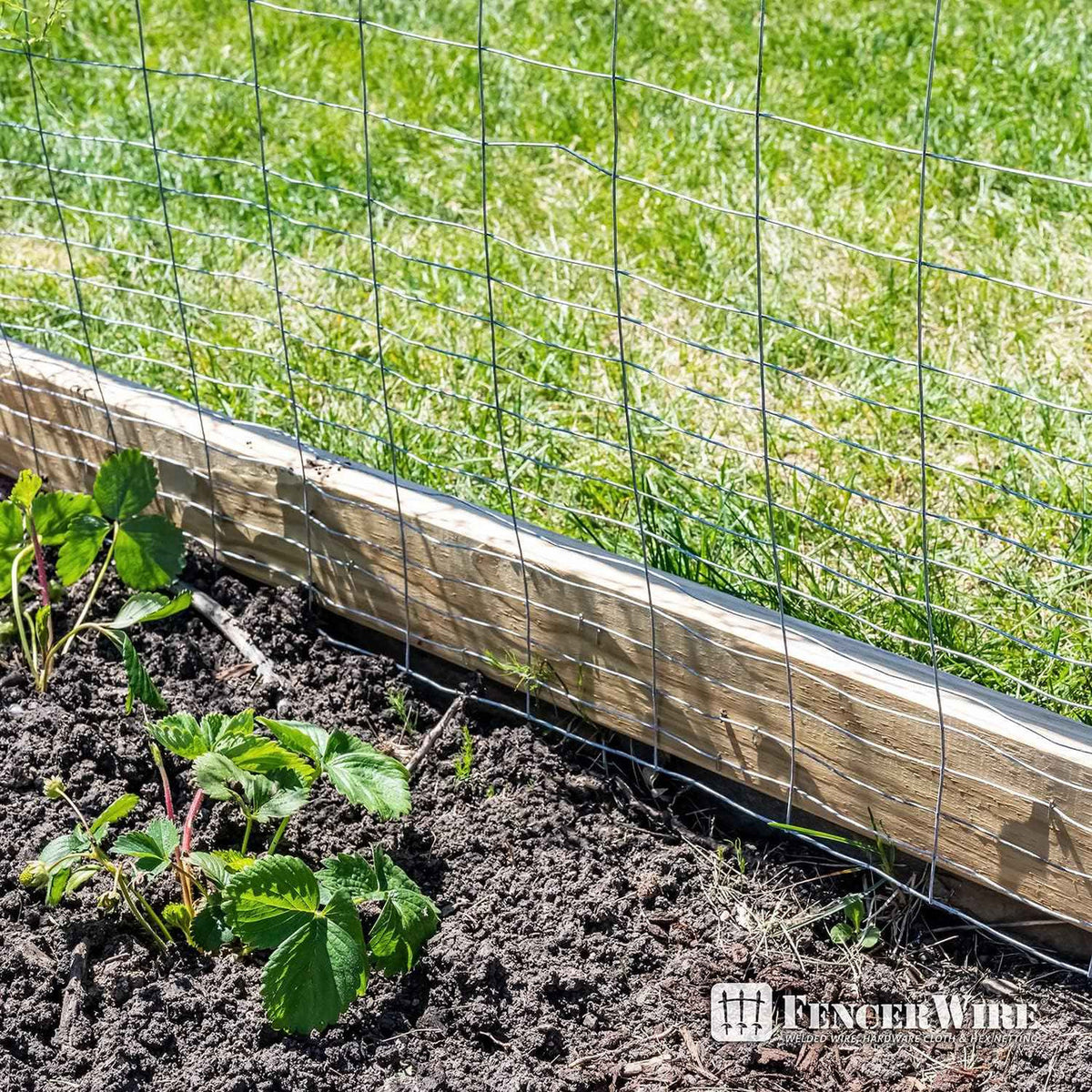 16 Gauge Galvanized Rabbit Guard Garden Fence