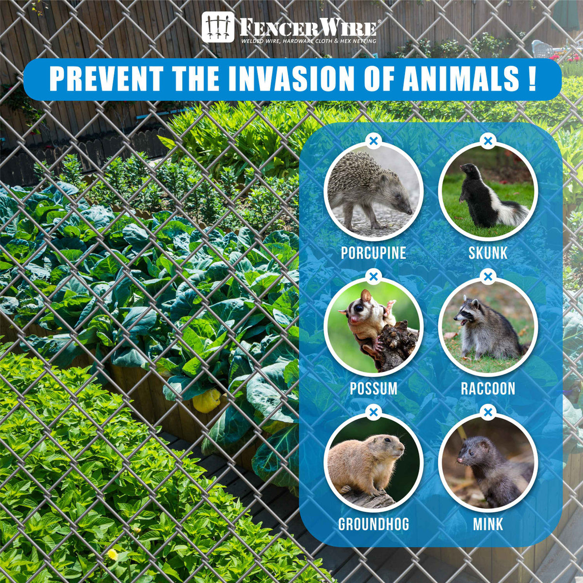 6ft. Height 9 Gauge Green Vinyl Coated Chain Link Fence Kit w/Fence Fabric, Gate, Posts, Top Rails & Hardware, Multiple Options
