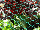Green Diamond Plastic Poultry Netting 2 ft. x 25 ft. & 3/4" Diamond Mesh