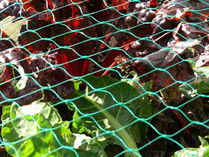 Green Diamond Plastic Poultry Netting 2 ft. x 25 ft. & 3/4" Diamond Mesh