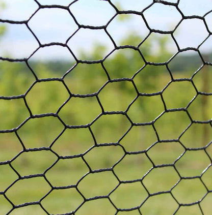 19 Gauge Black Vinyl Coated Hot Dip Galvanized Hex / Poultry Netting Mesh 3/4"