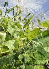 Fencer Wire Deer and Animal Fence Barrier Netting 7 ft. x 100 ft. with Mesh Size 3/4" (Light)