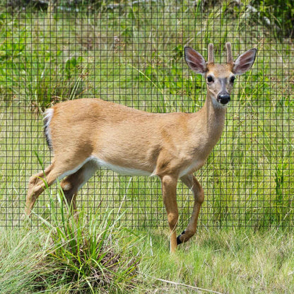 Fencer Wire Deer and Animal Fence Barrier Netting 7 ft. x 100 ft. with Mesh Size 3/4" (Heavy Duty)