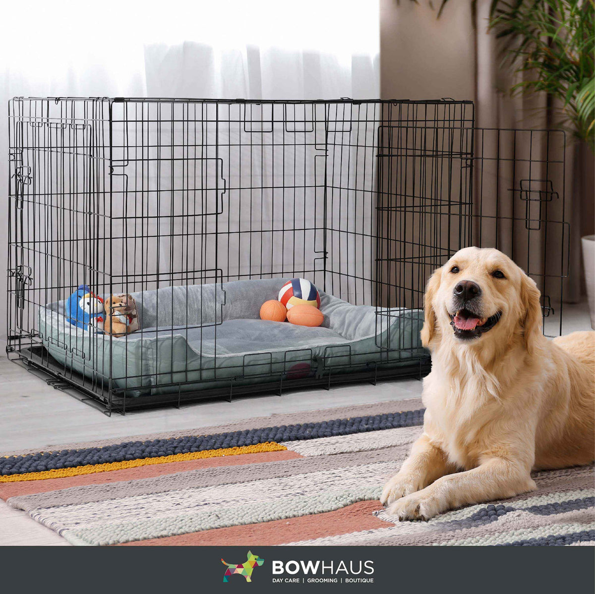 24 in. Foldable Dog Crate Wire Metal Dog Kennel w/ Divider Panel, Leak-Proof Pan & Protecting Feet