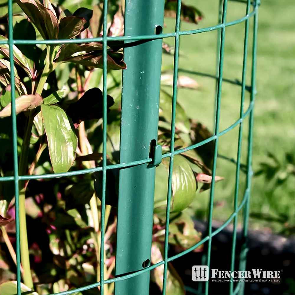 16 Gauge Green Vinyl Coated Welded Wire Mesh Size 2 inch by 3 inch