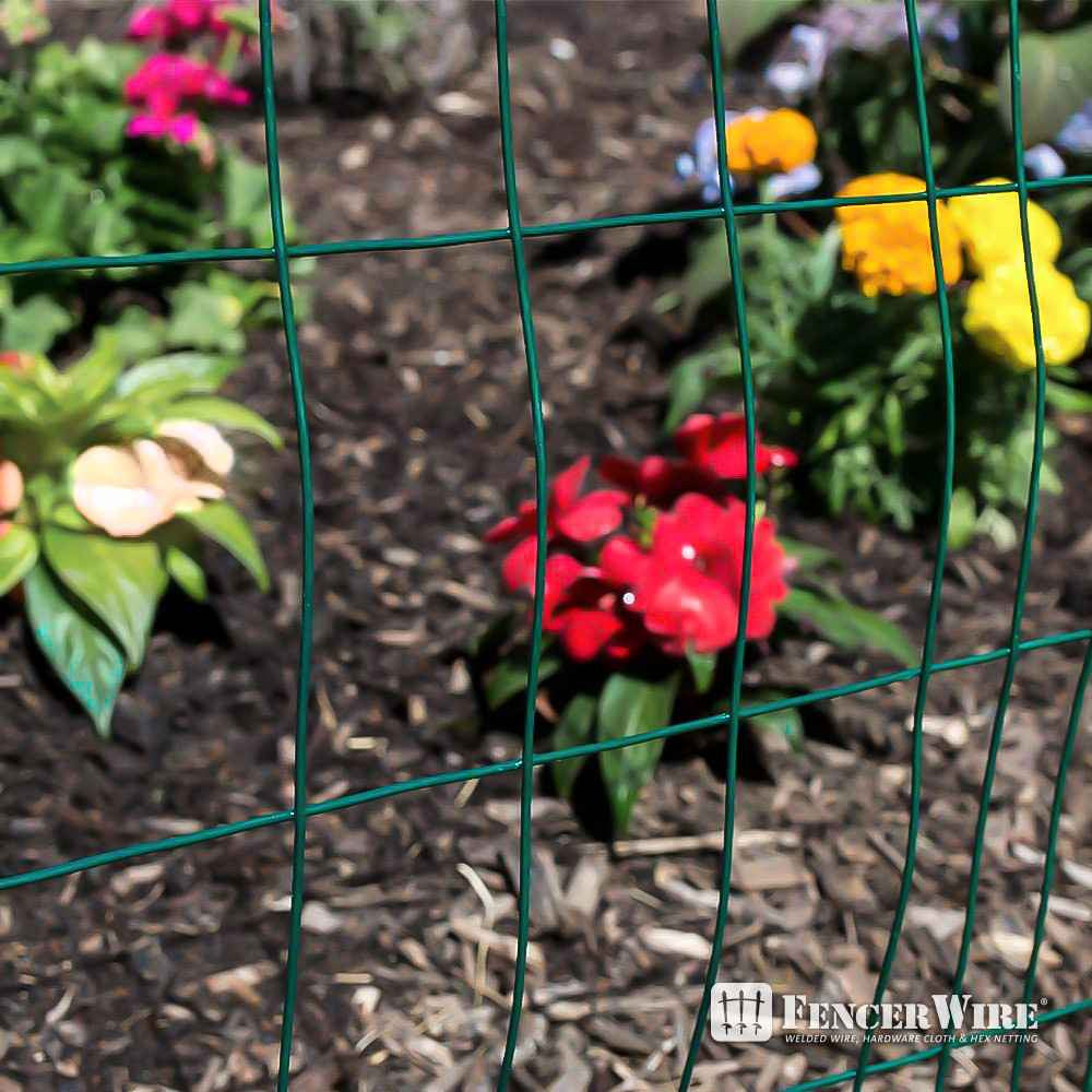 16 Gauge Green Vinyl Coated Welded Wire Mesh Size 2 inch by 3 inch