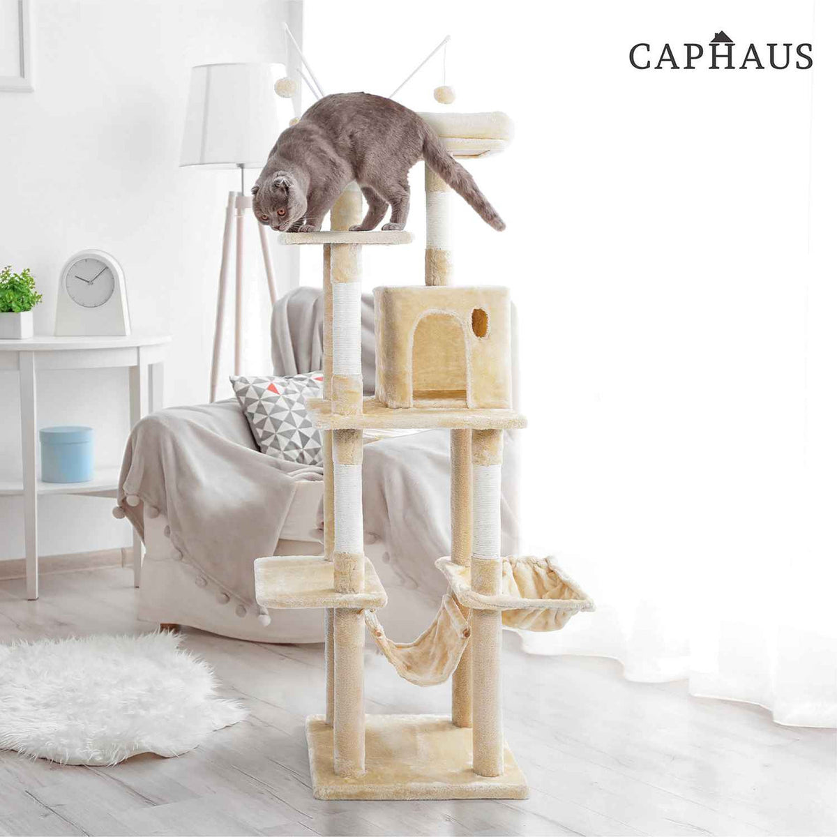 70 in. Dark Grey Cat Tower for Indoor Cats, Multi-Level Cat Activity Tree with Scratching Posts, Basket, Cave Condo