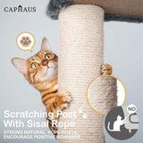 70 in. Dark Grey Cat Tower for Indoor Cats, Multi-Level Cat Activity Tree with Scratching Posts, Basket, Cave Condo