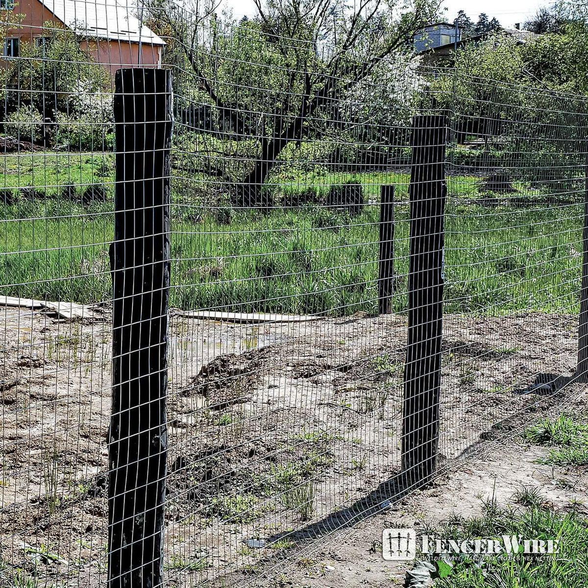 14 Gauge Galvanized Welded Wire Mesh 2 inch x 4 inch