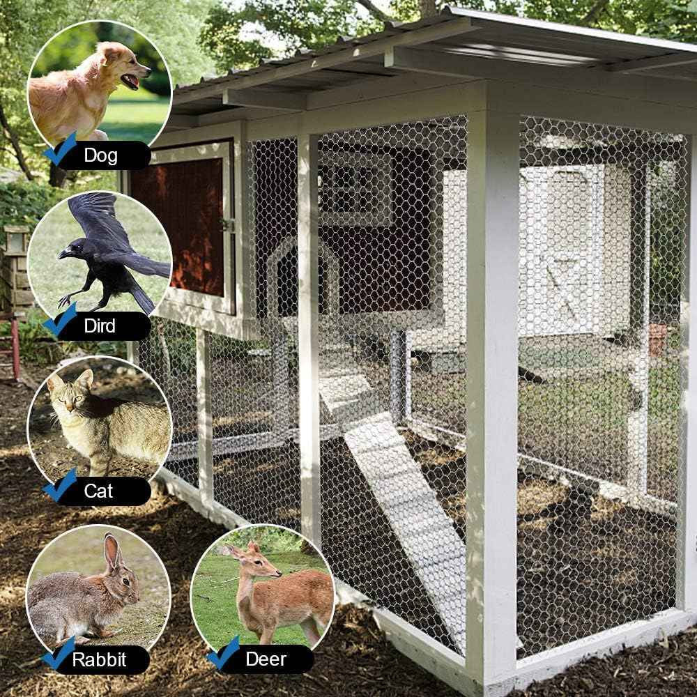 20 Gauge Galvanized Poultry Netting Mesh Size 2"