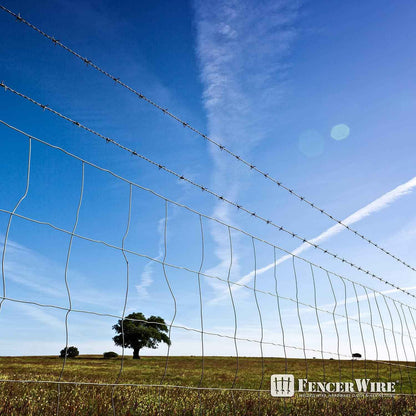 Fencer Wire 16 Gauge Galvanized Welded Wire Mesh Size 4 inch by 4 inch, Multiple Size Options