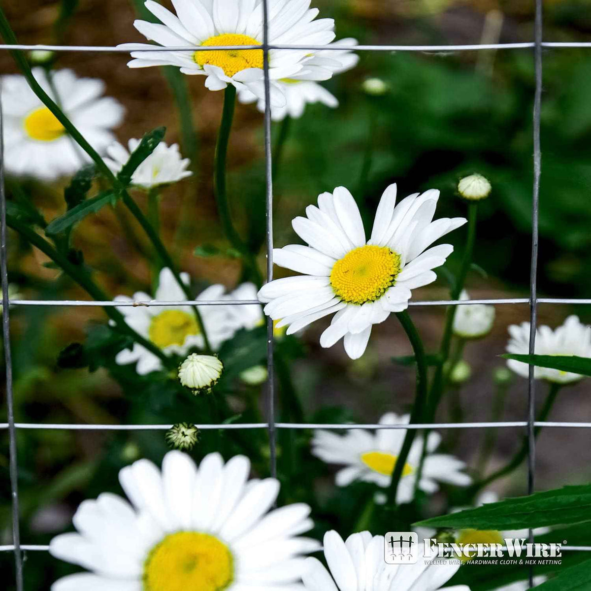 16 Gauge Galvanized Rabbit Guard Garden Fence