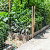 16 Gauge Galvanized Rabbit Guard Garden Fence