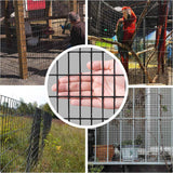 16 Gauge Black Vinyl Coated Welded Wire Mesh Size 0.5 inch by 1 inch
