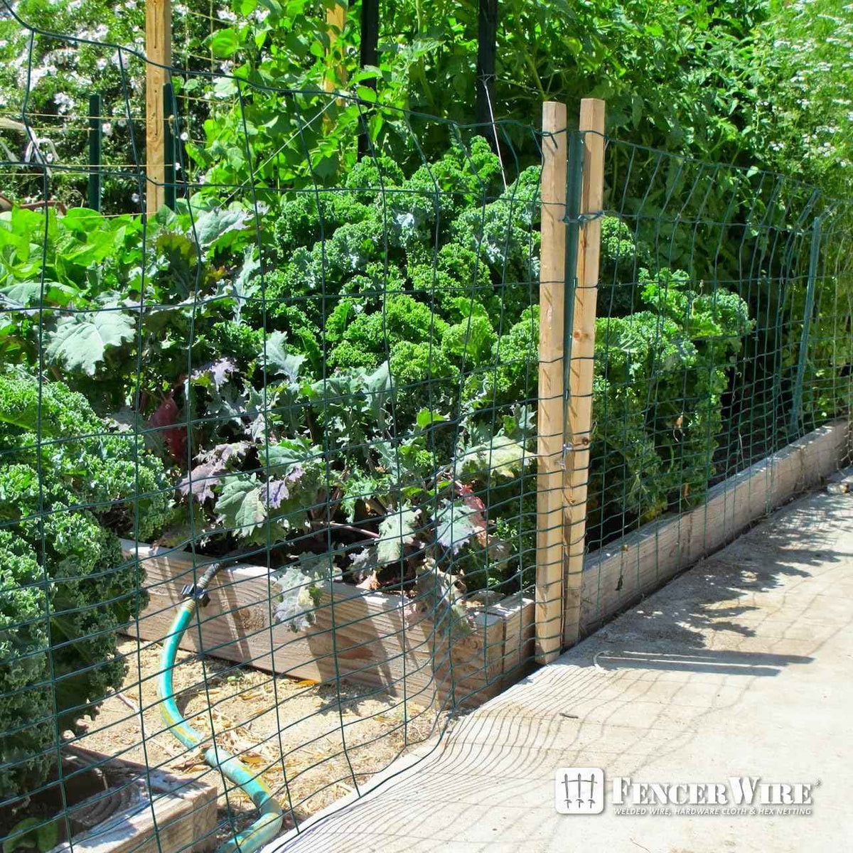 16 Gauge Vinyl Coated Rabbit Guard Fence, Multiple Options