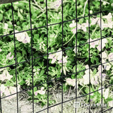 16 Gauge Black Vinyl Coated Welded Wire Mesh Size 2 inch by 3 inch, Multiple Size Options