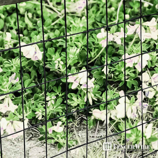 16 Gauge Black Vinyl Coated Welded Wire Mesh Size 2 inch by 3 inch, Multiple Size Options