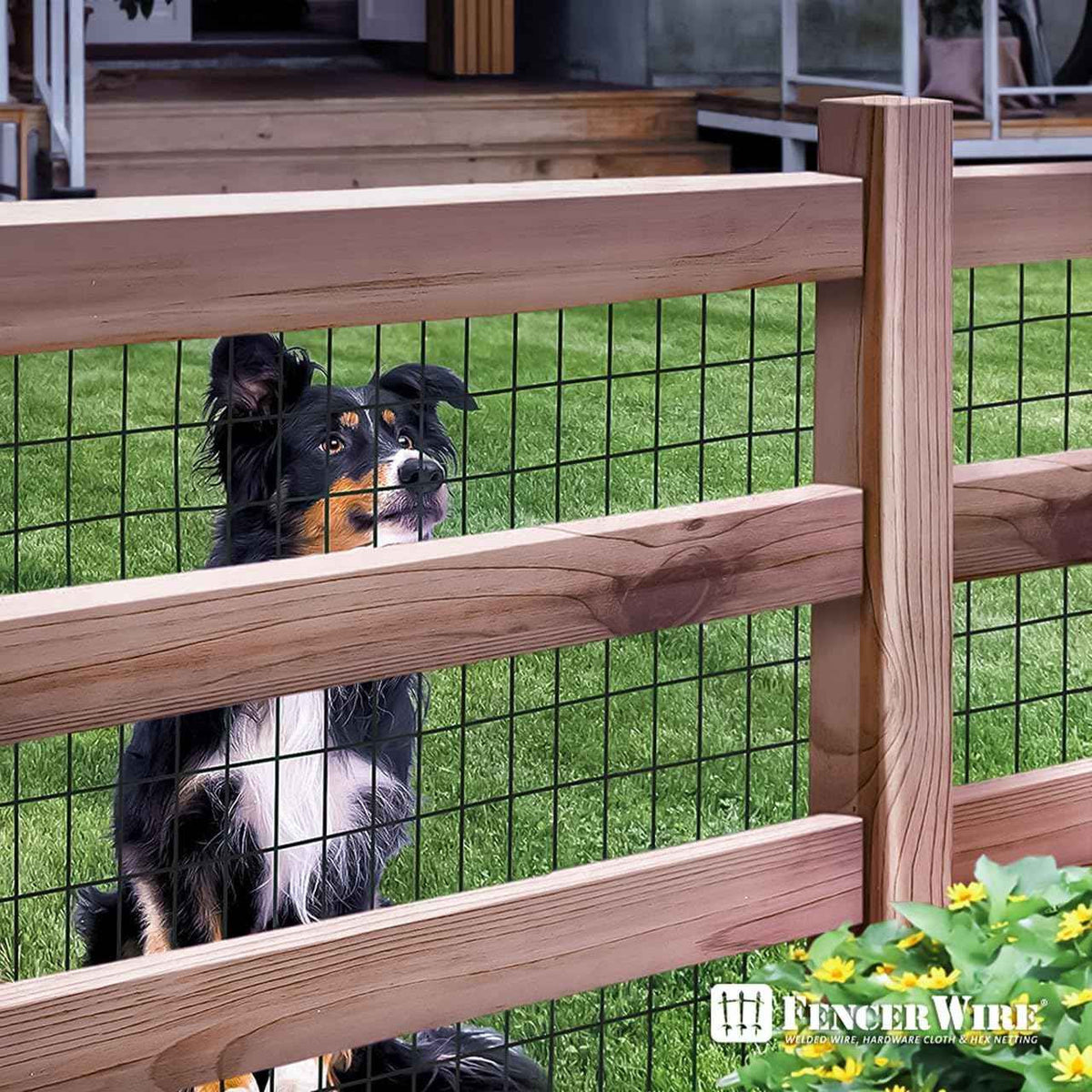 16 Gauge Black Vinyl Coated Welded Wire Mesh Size 2 inch by 3 inch, Multiple Size Options