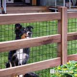 16 Gauge Black Vinyl Coated Welded Wire Mesh Size 2 inch by 3 inch, Multiple Size Options