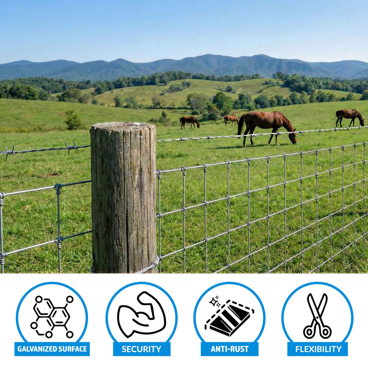 4 Point Barbed Wire with Gloves, 15 Gauge Galvanized Barb Craft Wire for Fencing, Crafts, Critter Deterrent, Yard and Garden