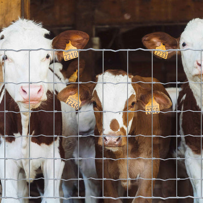 Cattle Panel, Hog Panel, Farm Fence, Galvanized Welded Wire Fence Roll, 15/13.5 Gauge, Graduated Mesh, Animal Barrier for Cattle, Deer, Goats, Multiple Size Options