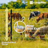 Cattle Panel, Hog Panel, Farm Fence, Galvanized Welded Wire Fence Roll, 15/13.5 Gauge, Graduated Mesh, Animal Barrier for Cattle, Deer, Goats, Multiple Size Options
