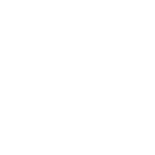 Posts