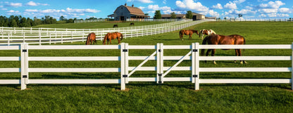 Heavy Duty Arc Fence Barrier Kit with 6FT Height X 8FT Width Panels, Arch Gate, Posts & Connectors, Multi-options